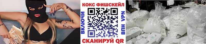 Купить закладки  Среднеуральск  Cocaine Fish Scale 