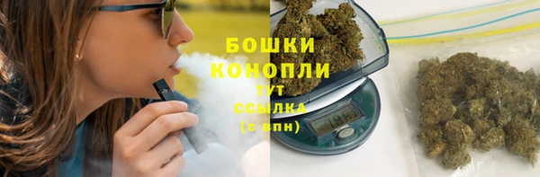 PSILOCYBIN Алзамай