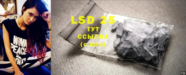 PSILOCYBIN Алзамай